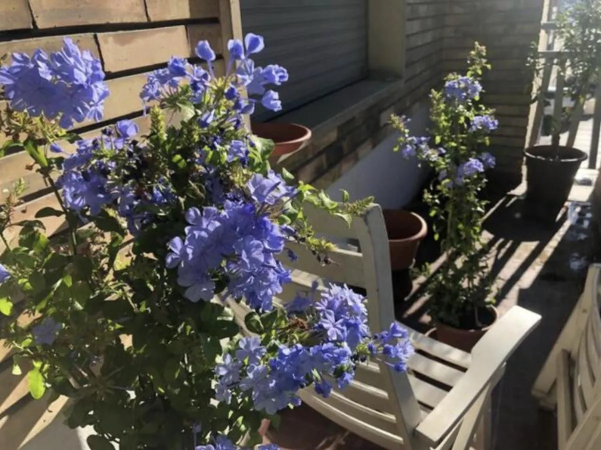 Guest house Camera In Via Tolstoi Milan